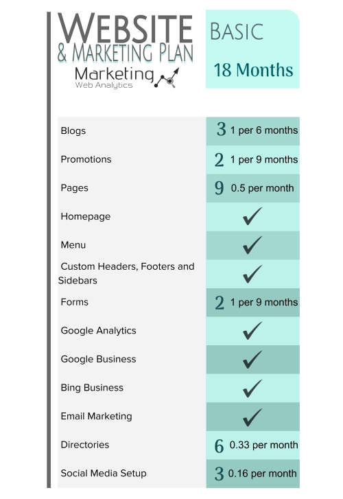 basic website